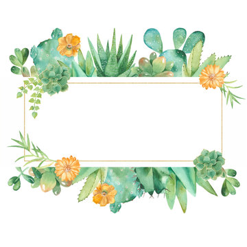 22,489 BEST Succulent Border IMAGES, STOCK PHOTOS &amp; VECTORS | Adobe Stock