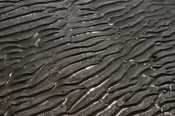 texture of sand