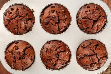 An overhead closeup photo of chocolate chip muffins in a baking mould