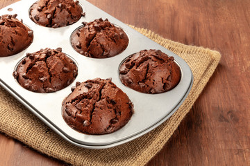 A closeup photo of chocolate chip muffins in a baking mold on a dark rustic wooden background