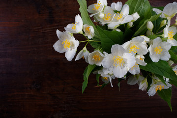 A branch of jasmine on a dark wooden background. Copy space.