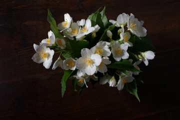 Bouquet of jasmine on a dark wooden background. Low key photo with contrasting shadows.