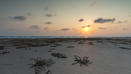 Rayong beach thailand
