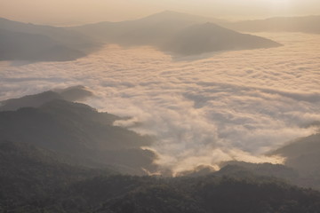 Naklejka na ściany i meble sunrise at Doi Pha Tang, beautiful mountain view morning panorama 180 degree of top hill around with sea of mist with yellow sun light and cloudy sky background, Chiang Rai, Thailand.