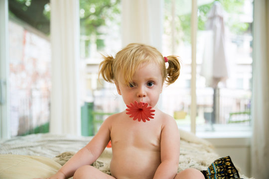 Little girl (18-23 months) with red flower in mouth 