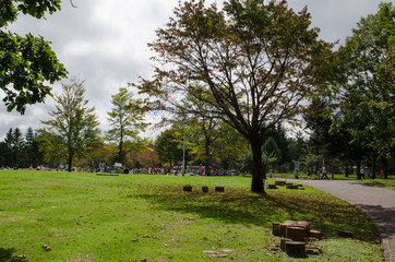 Fototapeta na wymiar 明野ヶ丘公園の風景