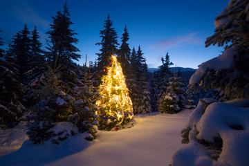 Decorated tree in forest at sunrise  