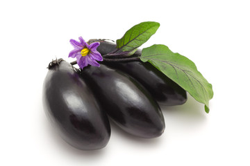 aubergine