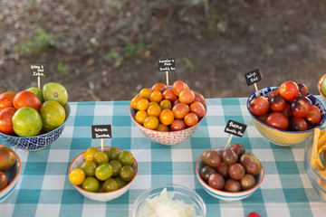 Various Garden Fresh Tomato Varieties at Tasting Party