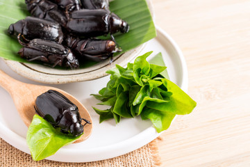 Scarab beetle (Holotrichia sp.). Insects as food edible for eating and cooked deep-fried or baked on plate and spoon with vegetable on sackcloth is good source of protein. Entomophagy concept.