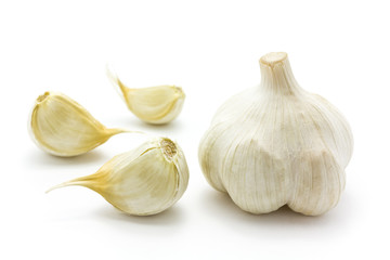 Obraz premium garlic