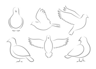 Pentecost Dove Element Cartoon Vector Illustration