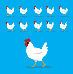 Animal Animation Sequence Poultry White Chicken Cartoon Vector