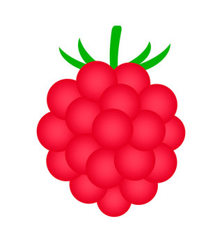 recommend clip art: ラズベリー