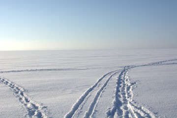 Fototapeta na wymiar tracks in snow