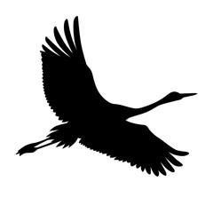 Flying crane silhouette
