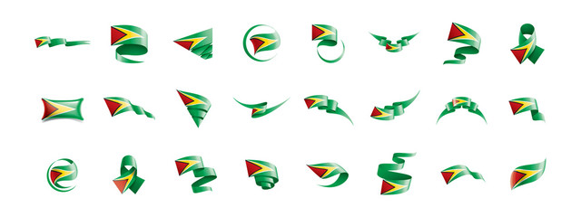 Guyana flag, vector illustration on a white background