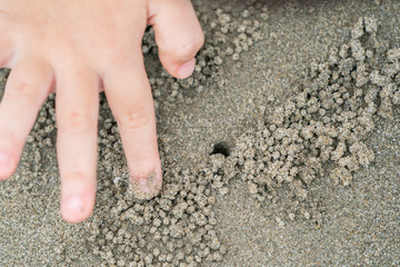 close up kid's hand and finger, play and learn at the beach.