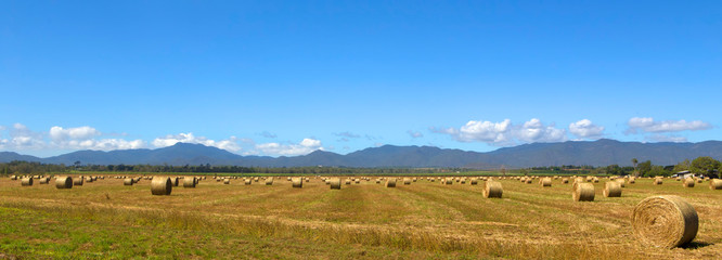 Panoramic hay bales and hills on the Atherton Tableland in Tropical North Queensland, Australia