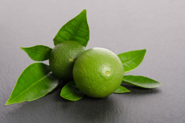 two green limes with leaves on a gray background