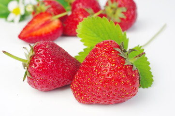 Ripe strawberries with leaves and flowers on white, close-up