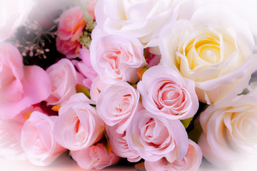 Sweet color roses in soft and blur style for background