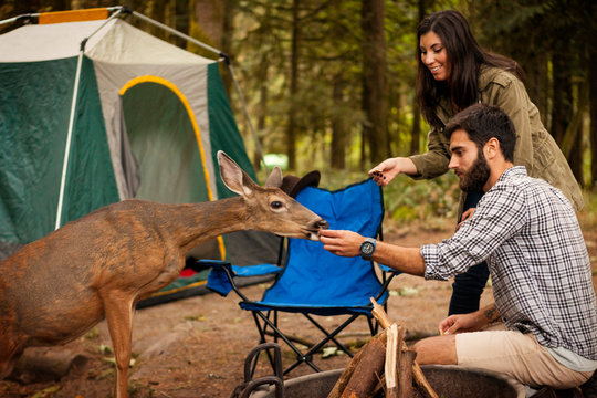 Young couple feeding doe in forest 