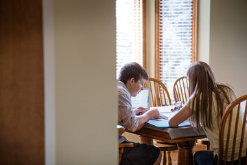 Teenagers (16-17) studying at home 