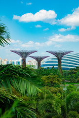 Singapure