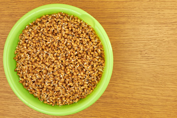 young grains of wheat germ in a deep green plate on a wooden table. Dietary vegetarian food. healthy food. unleavened bread. copy space