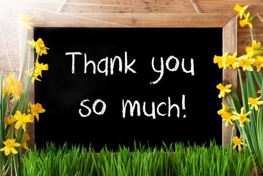 Sunny Spring Narcissus, Chalkboard, Text Thank You So Much