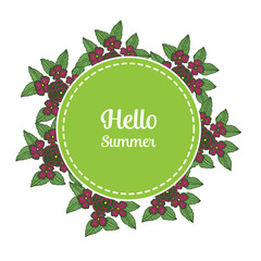 Vector illustration blossom leaf flower frame for write hello summer hand drawn