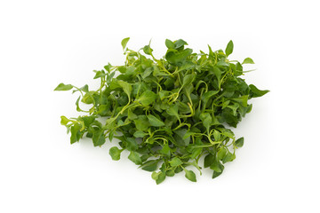 Fototapeta premium Watercress in isolated on white background