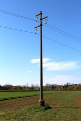 Tall concrete power line utility pole with glass insulators holding electrical wires in middle of field surrounded with grass and trees with cloudy blue sky in background on warm sunny day