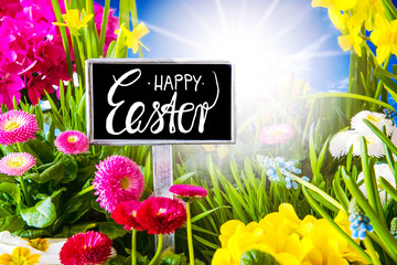 Sunny Spring Flower Meadow, Calligraphy Happy Easter