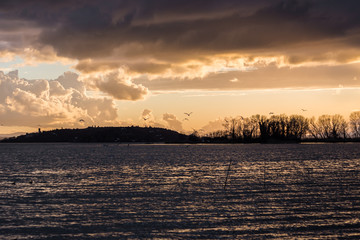 Fototapeta premium Birds flying over Trasimeno lake with warm sunset colors