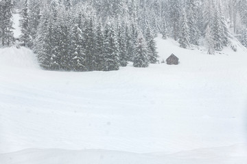 Under a heavy snowfall. Walk in the ancient village of Sappada. Friuli