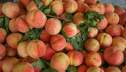 Nectarines on display in the fruit shop