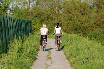 Obraz premium Two beautiful young girls in sport outfit riding their bicycles on paved country path surrounded with high green grass and forest vegetation next to metal fence on warm sunny day