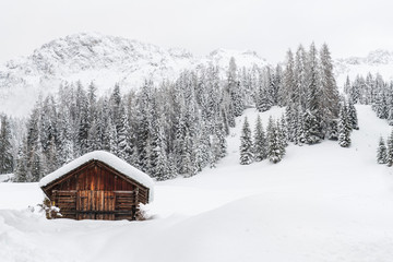 Snow magic. Walk in the ancient village of Sappada. Friuli