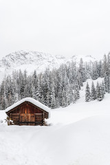 Snow magic. Walk in the ancient village of Sappada. Friuli