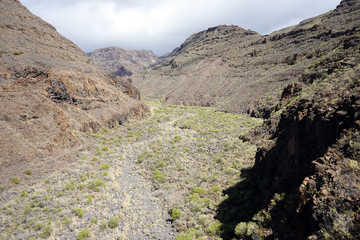 Ravine on the coast
