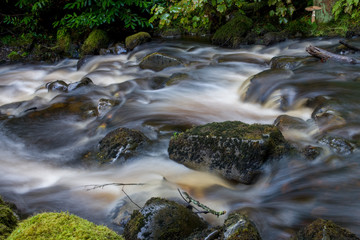 Naklejka na ściany i meble Woodland stream in northwest Scotland
