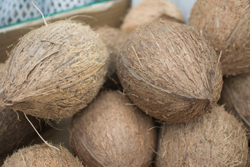 coconuts in cardboard boxes