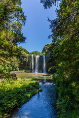 Whangarei Falls Scenic Reserve, New Zealand