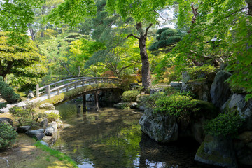 bridge in the Japanese park