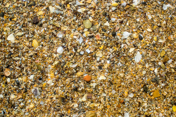 black sea coast strewn with yellow sand and small shells, washed by warm, salty sea water