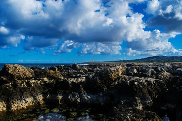 A Rocky Shore in Malta