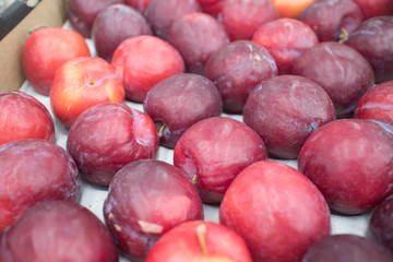 Texture of red plum in shop close up top view. Box with plums in store. Tasty sweet fruit for dessert, salad, juice.