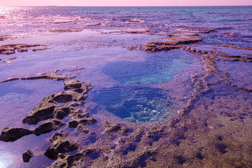 Rocky coast in summer. Beautiful seascape. Sunset beach